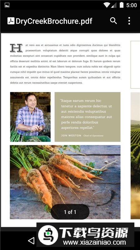 谷歌pdf查看器三星通用版(Google PDF查看器)最新版截图1