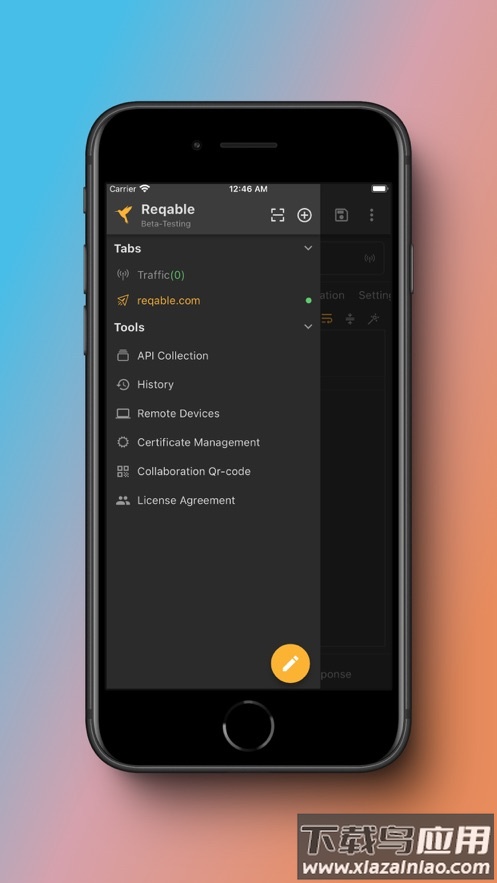 reqable app最新版截图4