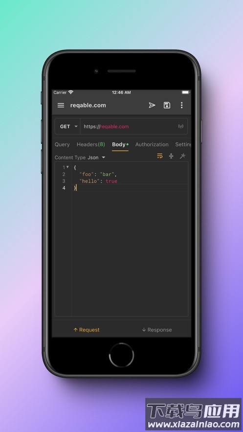 reqable app最新版截图5