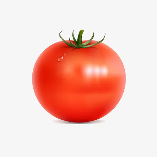 西红柿直播TV免费版