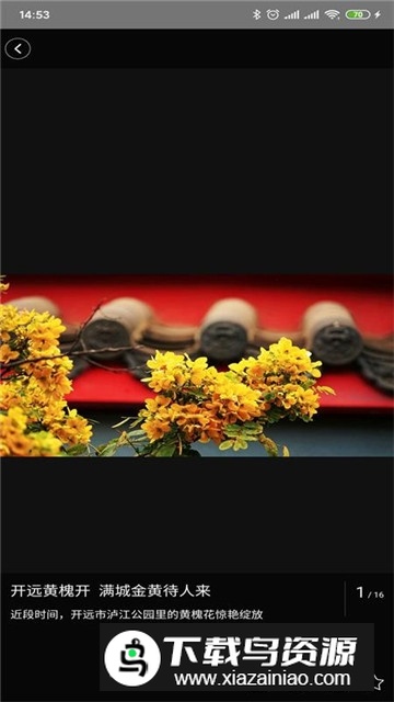 美丽开远融媒app手机版最新版截图1