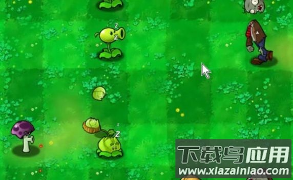 胆小菇之梦游戏最新版截图2