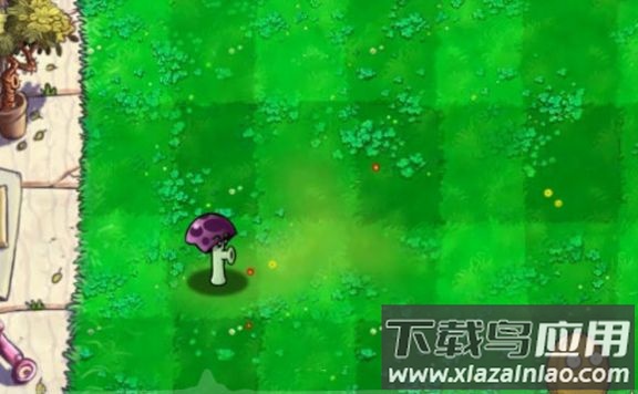 胆小菇之梦游戏最新版截图3