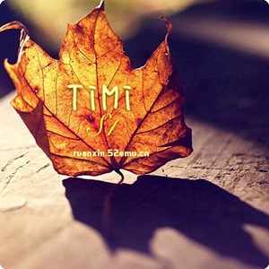 软心安装器汉化版本(软心安装器数据包)