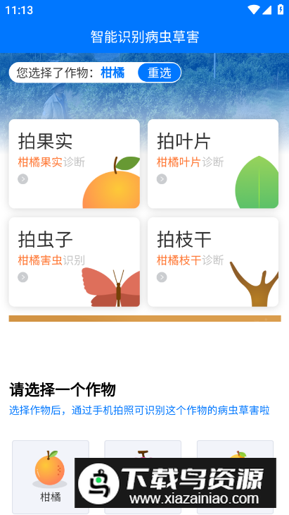 识农农作物识别软件