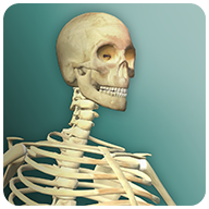 放置人类2无限细胞