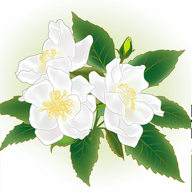 解语茶花官方正版免费