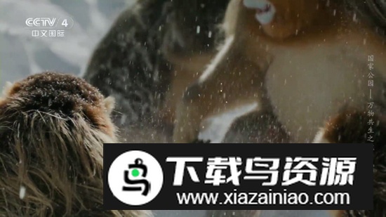 经典功夫app电视直播软件截图3