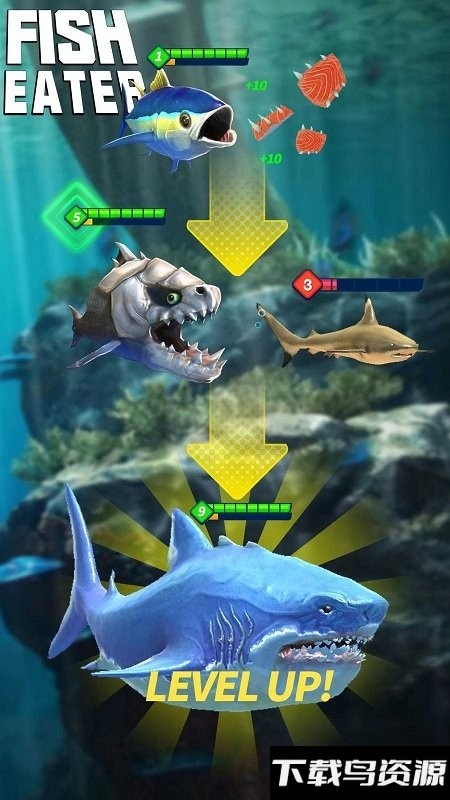 鲨鱼进化论最新版下载