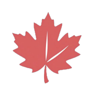 红枫云盘app安卓版