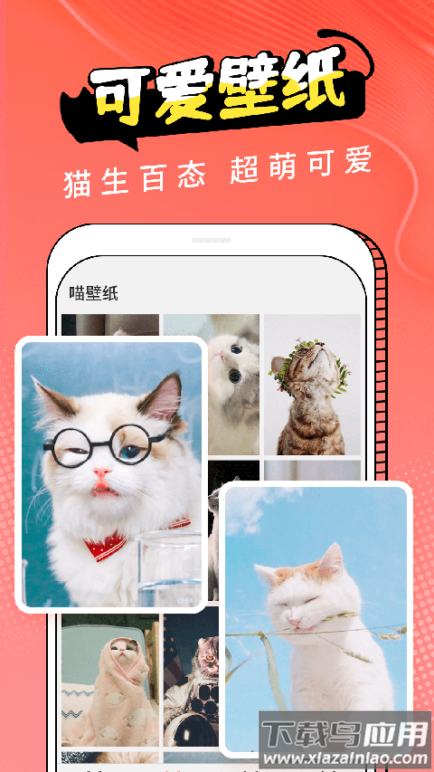 猫翻译器免费版(动物交流器)最新版截图2