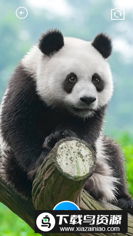 糯米助手app官方版最新版截图2