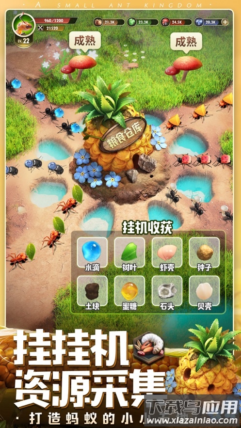 小小蚁国九游版下载