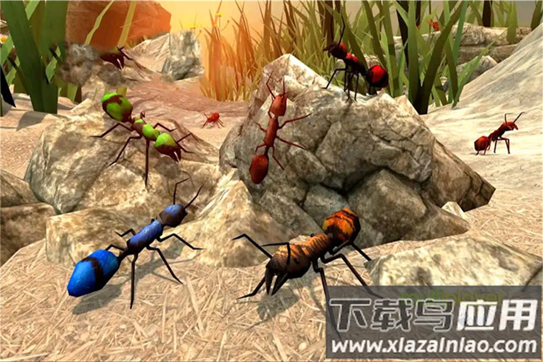 全员加速中之疯狂加速2023最新版截图1