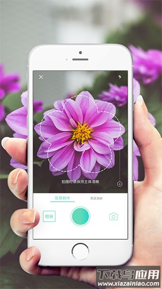 形色植物识别app最新版最新版截图1