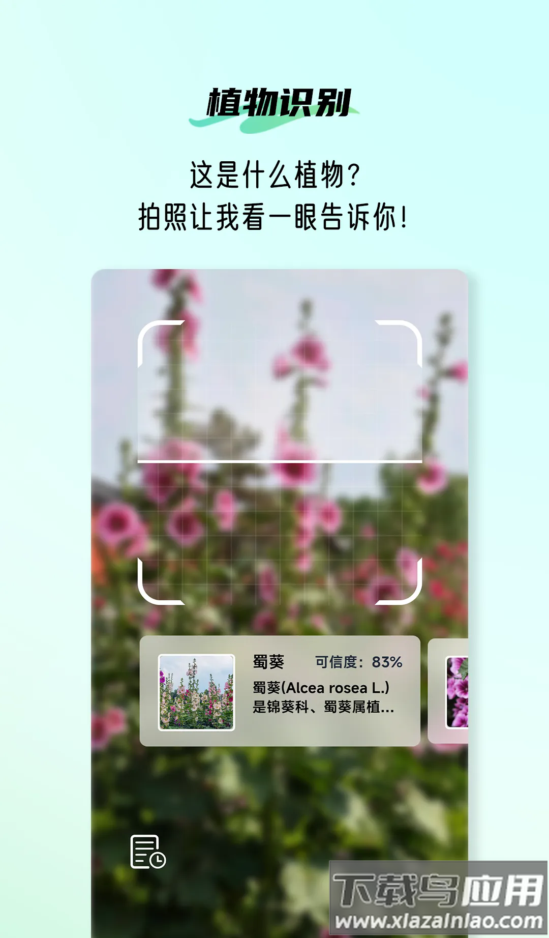 植侣app最新版截图4
