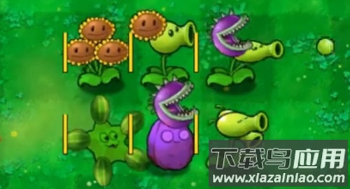 植物大战僵尸嫁接版下载截图2