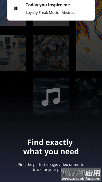 Pixabay官方正版最新版截图3