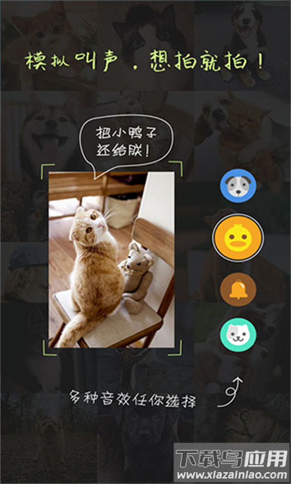 萌宠相机下载最新版截图2
