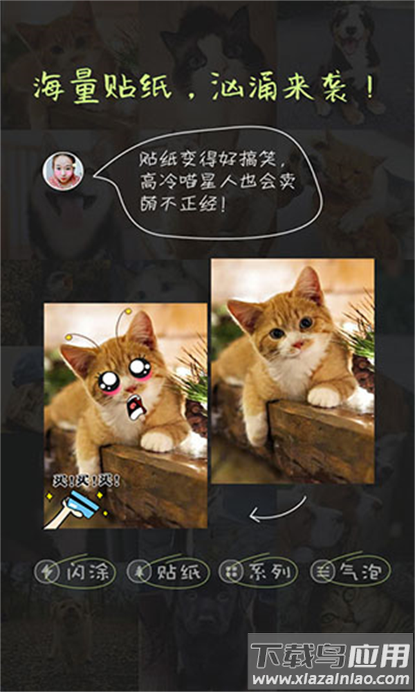 萌宠相机下载最新版截图4