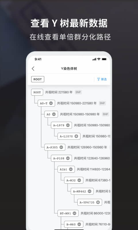 23魔方祖源最新版截图4