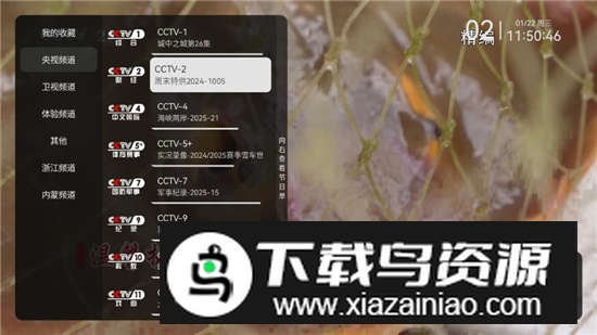 2025天光云影电视投屏版