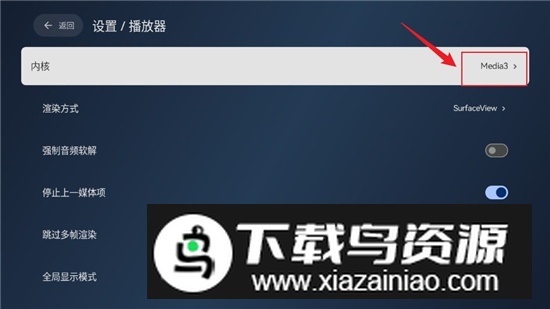 2025天光云影电视投屏版