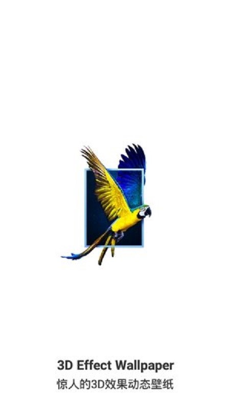 3dwallpapers官方免费版最新版截图2