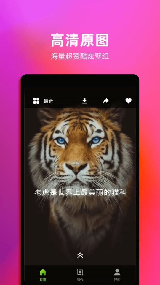 4k动态壁纸安卓版 v1.7截图4