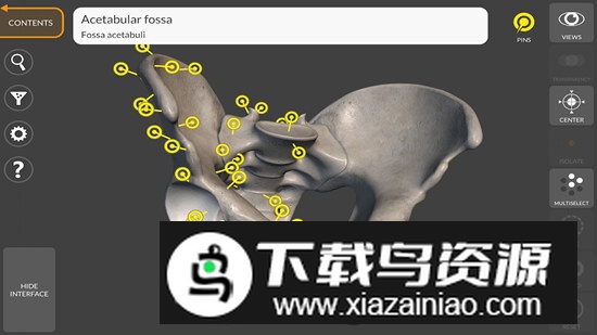 3D Anatomy for the Artist最新版v5.0.0截图1