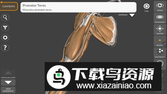 3D Anatomy for the Artist最新版v5.0.0截图2
