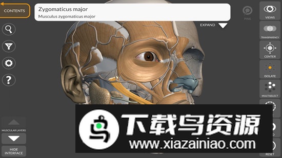 3D Anatomy for the Artist最新版v5.0.0截图3