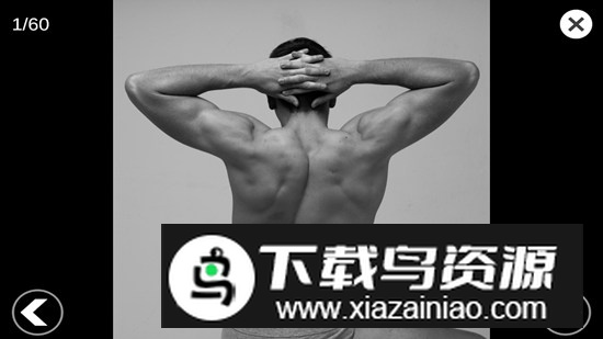 3D Anatomy for the Artist最新版v5.0.0截图4