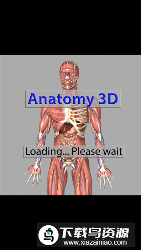 3D Bones and Organs Anatomy安卓版 v5.9截图1