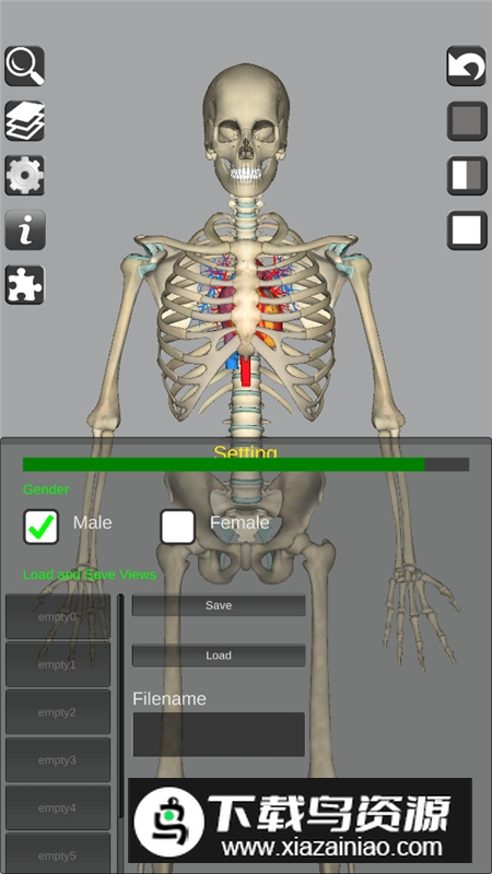 3D Bones and Organs Anatomy安卓版 v5.9截图2