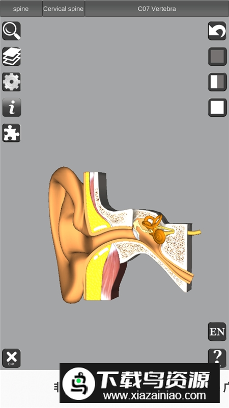 3D Bones and Organs Anatomy安卓版 v5.9截图3