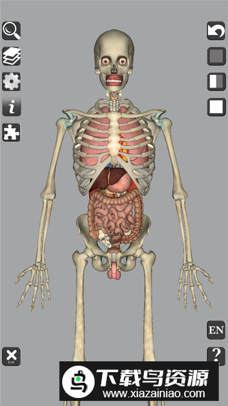 3D Bones and Organs Anatomy安卓版 v5.9截图5