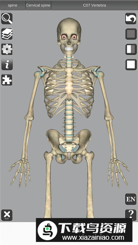 3D Bones and Organs Anatomy安卓版 v5.9截图6