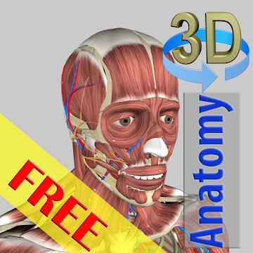3D Bones and Organs Anatomy安卓版 v5.9