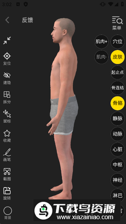 3Dbody解剖图手机版免费版
