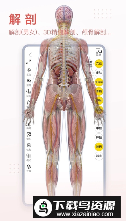 3Dbody安卓版 v8.8.71截图1