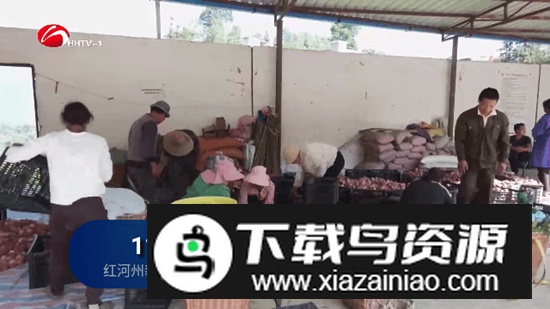 月兔tv电视盒子看电视软件2025最新版截图2