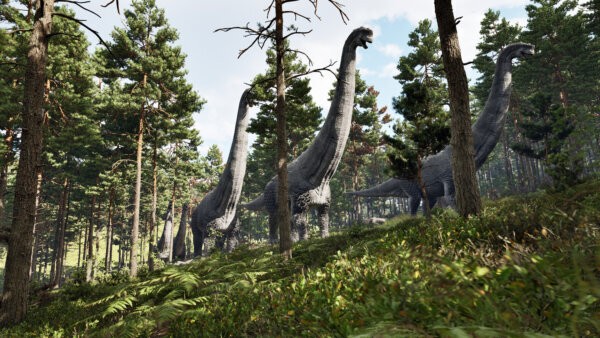 龙岛异兽(手机版)阿乐同款最新版截图1