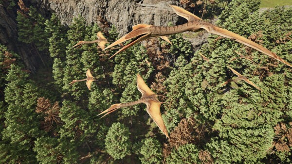 龙岛异兽(手机版)阿乐同款最新版截图2