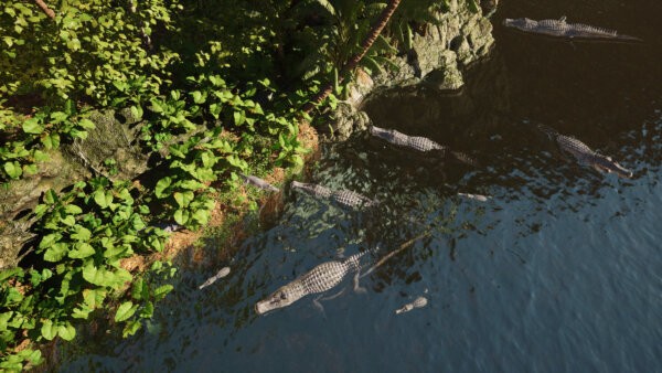 龙岛异兽(手机版)阿乐同款最新版截图3