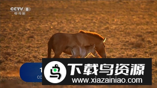 TikTV电视版最新版最新版截图3