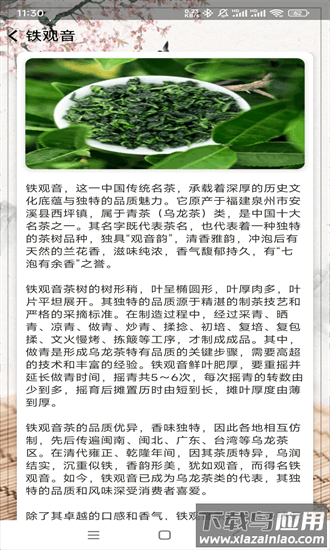 茶香乐园2025正版app最新版截图1