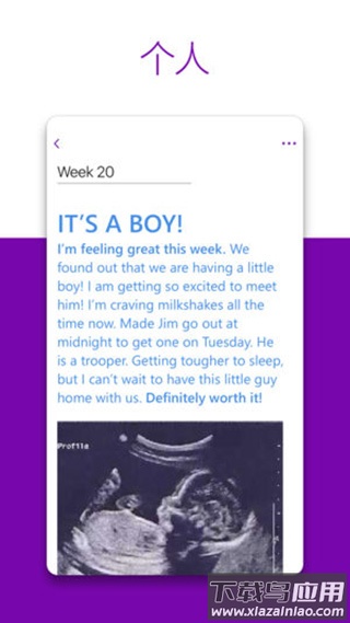 onenote最新版截图1
