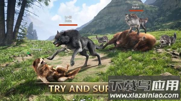 狼族崛起2025最新版最新版截图1