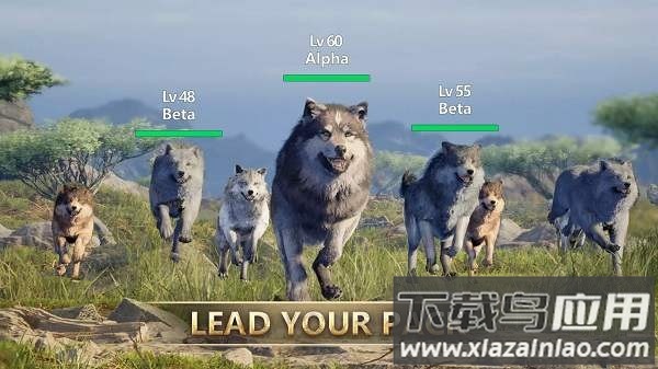 狼族崛起2025最新版最新版截图3